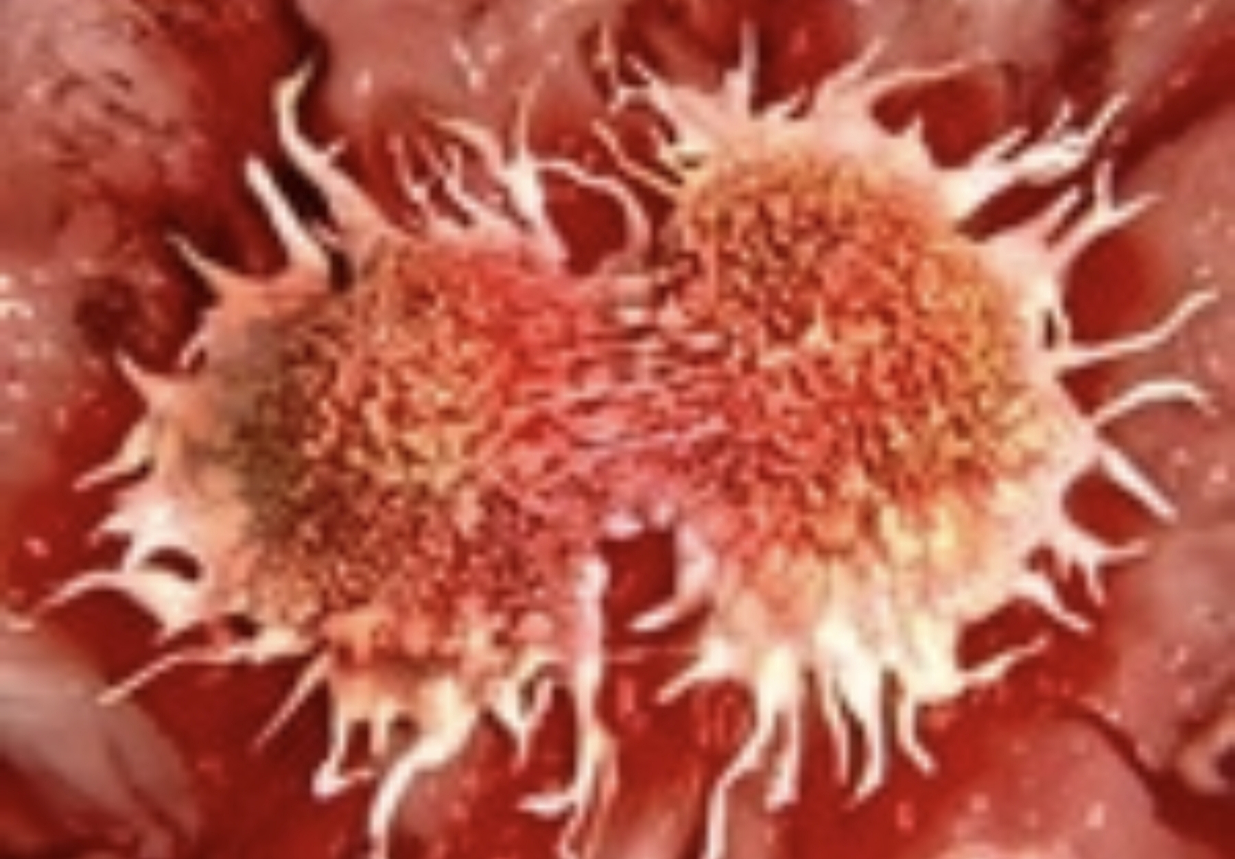Le métabolisme de la vitamine B2 aide les cellules cancéreuses à ...